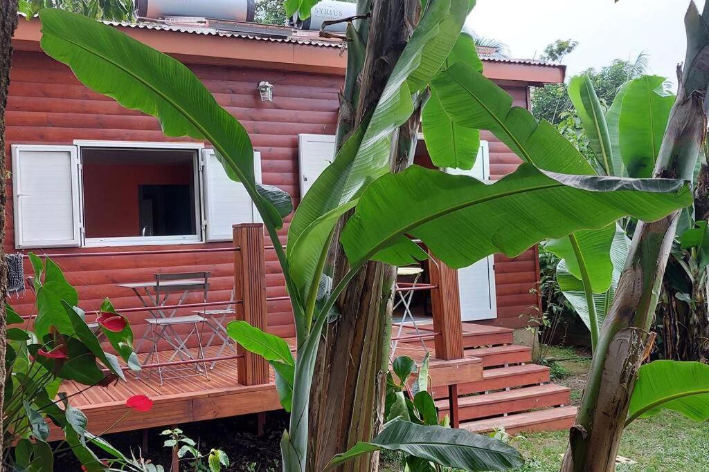 Chalet Les Azalees 르탕퐁 외부 사진