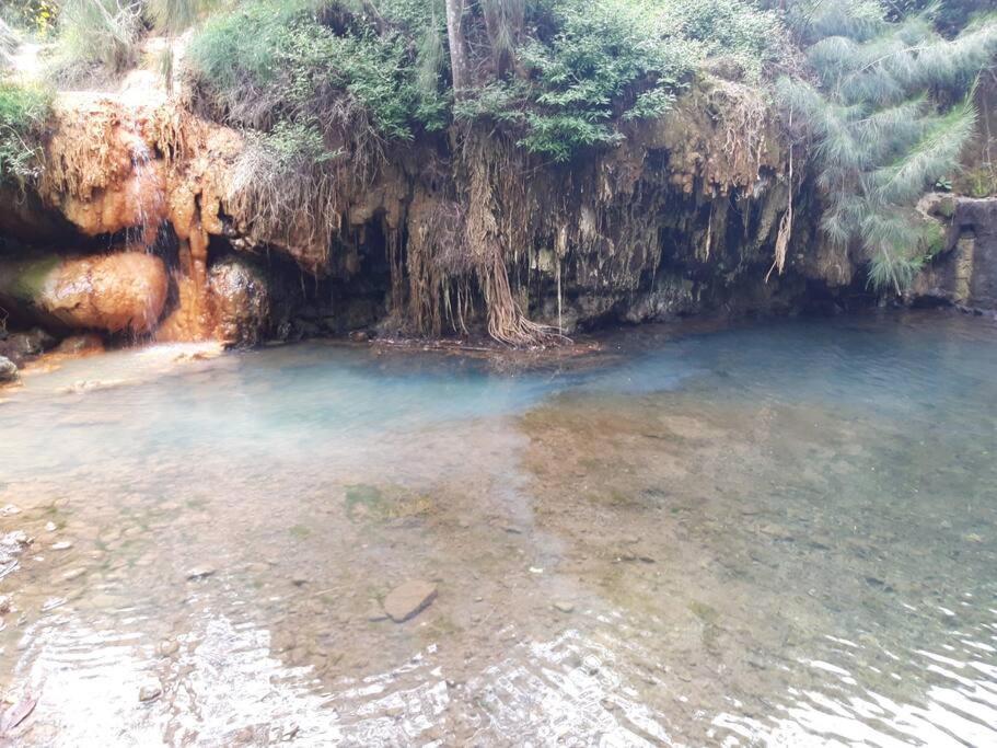 Chalet Les Azalees 르탕퐁 외부 사진
